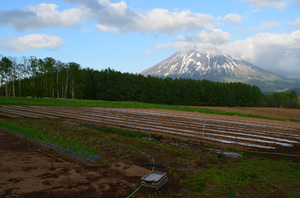 梅田ランチ　farm3.jpg